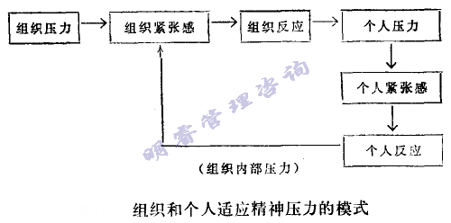 组织和个人适应精神压力的模式