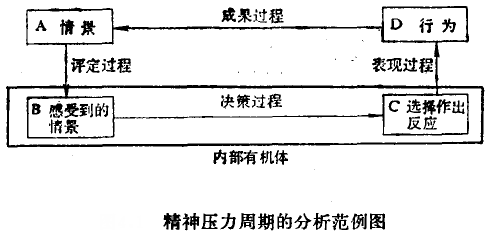 精神压力周期的分析范例