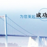 国内咨询公司与外国同行的差距在哪？政府规范保护扶持