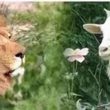 权威从何而来，如何塑造！